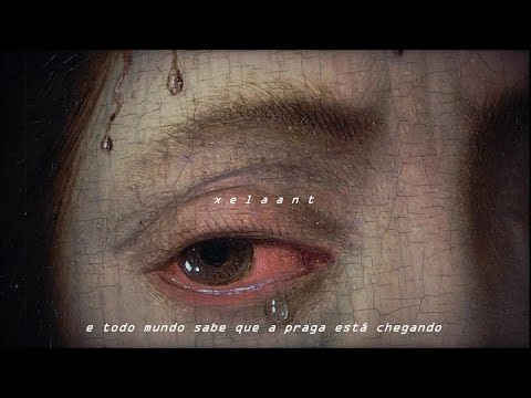 sigrid - everybody knows (slowed + reverb) [legendado]