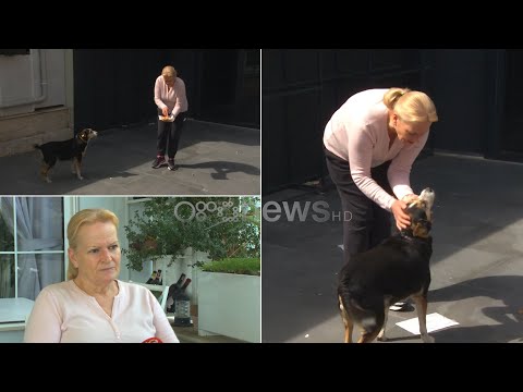 Kujdesi për katërputroshët/ Halili: Institucionet të zbatojnë ligjin, dënim për dhunuesit