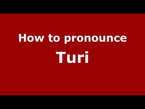 How to pronounce Turi