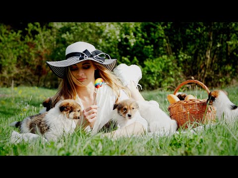 Kris Talisman - Twoja Mama (Oficjalny teledysk) Disco Polo