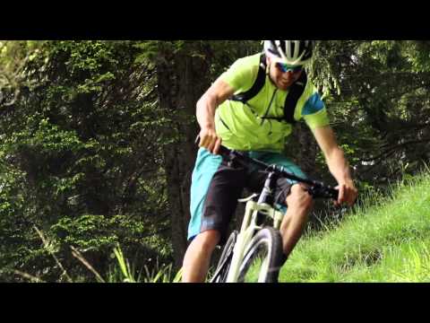 Carver Transalpin 29er