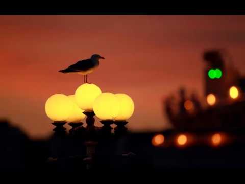 Gramatik / Dr.Dre & 2Pac ft. Notorious BIG - Stairway To Heaven