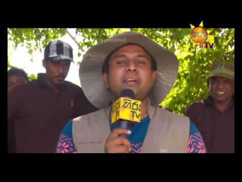 Hiru TV