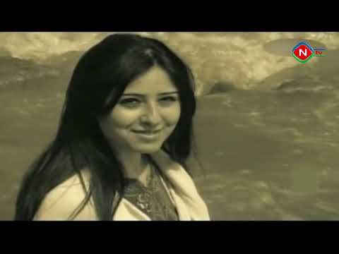 Ədəbi Düşüncələr - Durnalar 04.04.2021