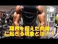 【筋トレ】肩のトレーニング！フロントレイズ/バッグレイズ 日本大会まで10日 20170713