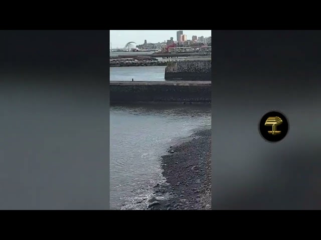 Tenerife: Prohibir, prohibir y volver a prohibir