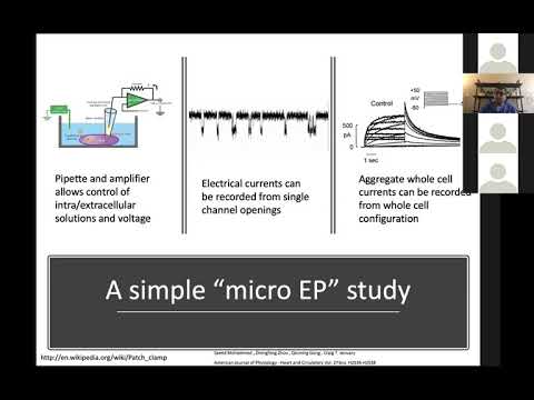 6 17 20 Iyer Cell and Tissue EP for the Clinical Electrophysiologist