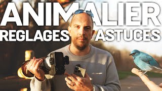 Settings to USE for the ANIMAL