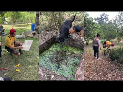 Empowering Small-Scale Farmers in Colombia