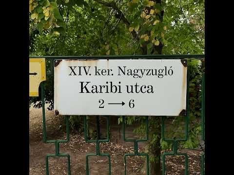 Lendy x Barta - Karibi (Official Audio)