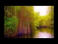 Jamaica       George Benson, Earl Klugh