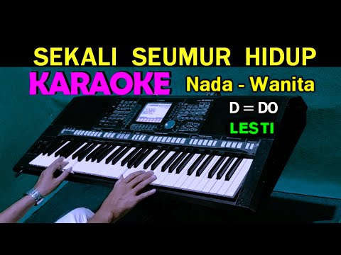SEKALI SEUMUR HIDUP - Lesti | KARAOKE Nada Wanita