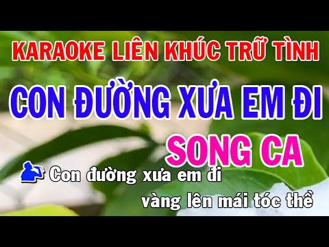 Liên Khúc Bolero Karaoke Song Ca Nhạc Sống l Con Đường Xưa Em Đi l Phối Mới Dễ Hát l Nhật Nguyễn