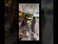 Throwback To TurkishIceCream ️ Vlog 13 NakshusKuttiVlog Nakshufoundherragha