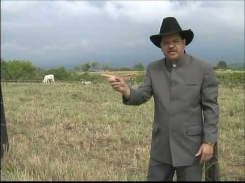 Tendré Que Dejar El Llano - Brisel Vega