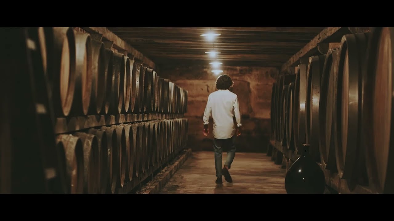 Douro City of Wine 2023