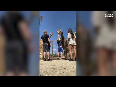 Michael Rosman Variety Show (promo)