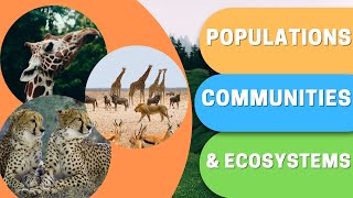 What are Populations, Communities & Ecosystems