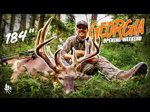 MASSIVE 16 Point Buck - Georgia Whitetail Opening Weekend!