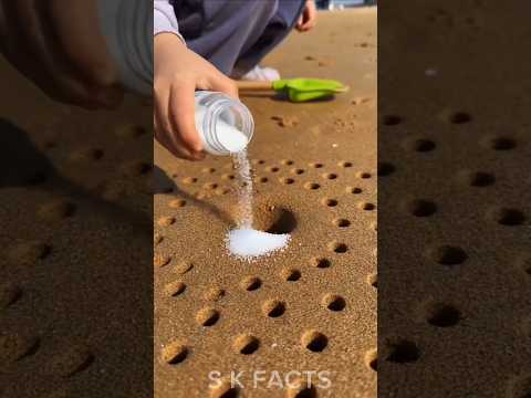 समुंद्र के पास मिट्टी में क्या मिला 😍🤩