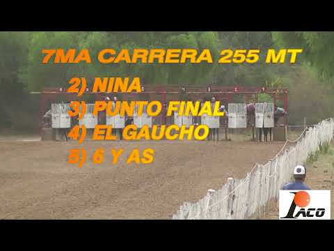 NINA DON NICO 31 10 2021