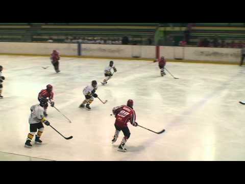 Dunaújvárosi Acélbikák - Gepárd JE (U16)