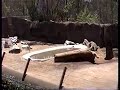 San Diego Zoo July 25 2001