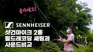젠하이저 MKH416 좋은 마이크 입니다. 하지만 젠하이저 MKH8060 한번만 제발 한번만 사용해 보세요~