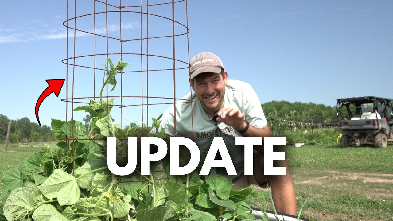 What a Difference The HEAT Makes! Complete Garden and Farm Tour