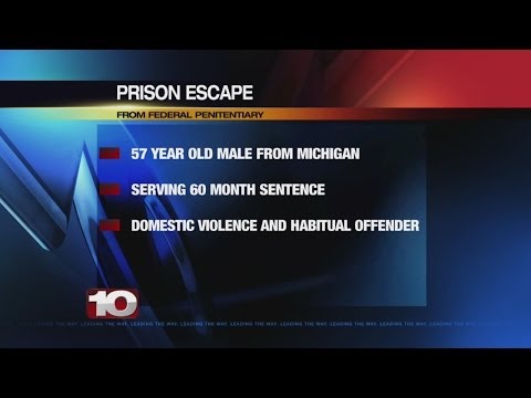 Jailtracker Terre Haute