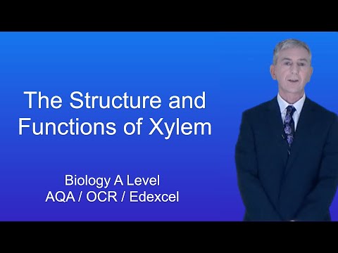 A Level Biology Revision "The Structure and Functions of Xylem"