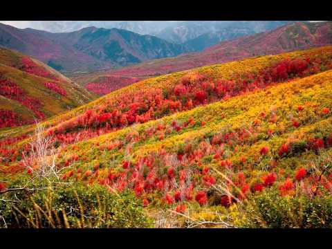 A Celui ce șade pe tron