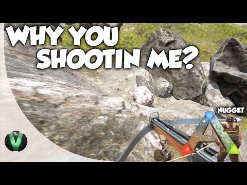 ARK Survival Evolved | NUGGET 17 | WHY YOU SHOOTIN ME