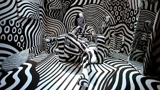 Klaus Schulze - Les Jockeys Camouflés