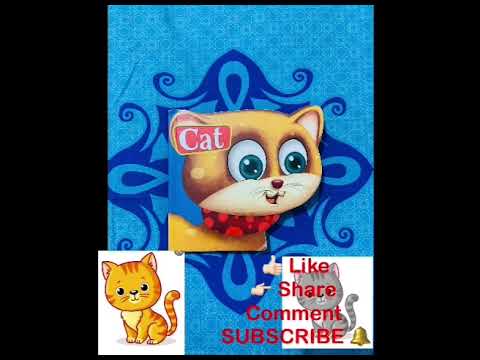 A few abilities of a cat |#SHAMIL & MINHA#|SUBSCRIBE NOW#|