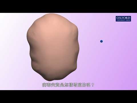 動畫E3, 1.1 病毒的增殖