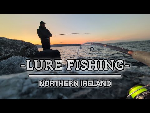 How? What, when and where to catch Pollock Co. Antrim ☘️ Sea Fishing