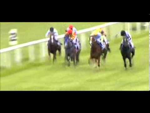 Galopprennbahn Dresden 10.08.2013 - 5.Rennen