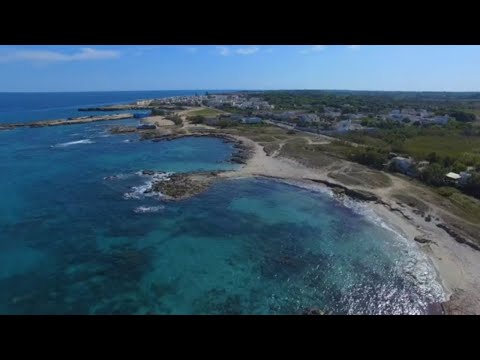 TaranTango - Tango Luglio -Tango Estate- Tango Raduno- Tango Viaggio