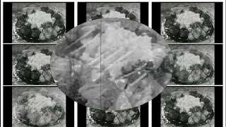 First Kiss (live) | They Might Be Giants