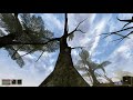 Morrowind Ultimate - Version Open  02
