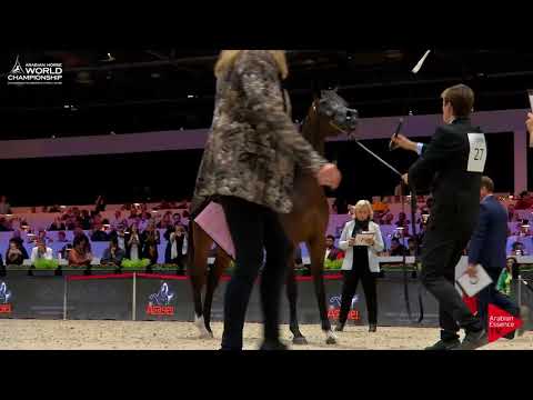 N.27 ESMAELIA AL HEVAN - Paris 2017 - Junior Fillies (Class CM2A)