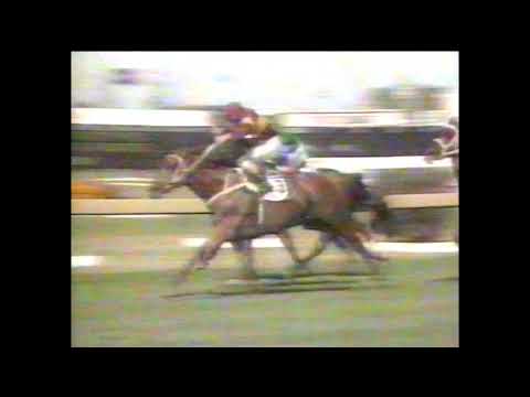 1992 SCN News Report _ TIERCE Retired