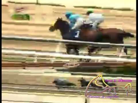 LA RINCONADA 1 CARRERA, DOMINGO 12 DE JULIO DEL 2015