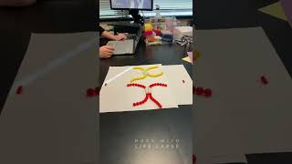 Modeling Mitosis