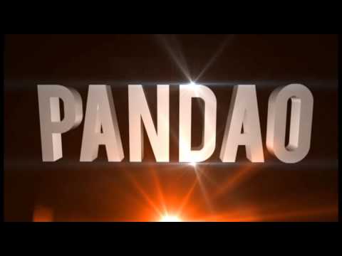 Intro PANDAO