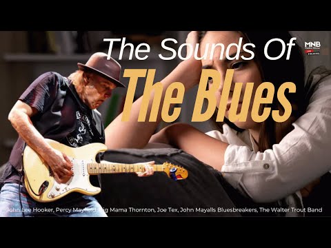 Videoclip de I Wanna Stay — Walter Trout