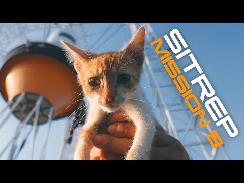 MISSION 9 - SITREP 36: First Flight, What to Expect