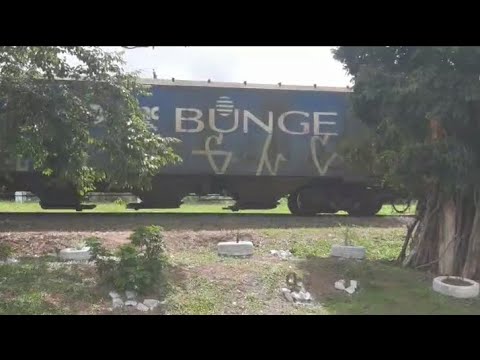 Composição da rumo em Fernandes Pinheiro PR Sentindo Irati PR 