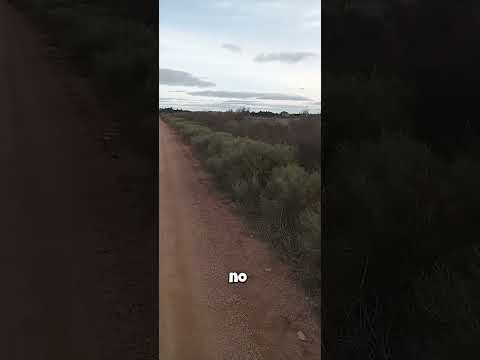 #uruguay #pueblito #colonia rosell y rius del departamento de durazno Uruguay 🇺🇾